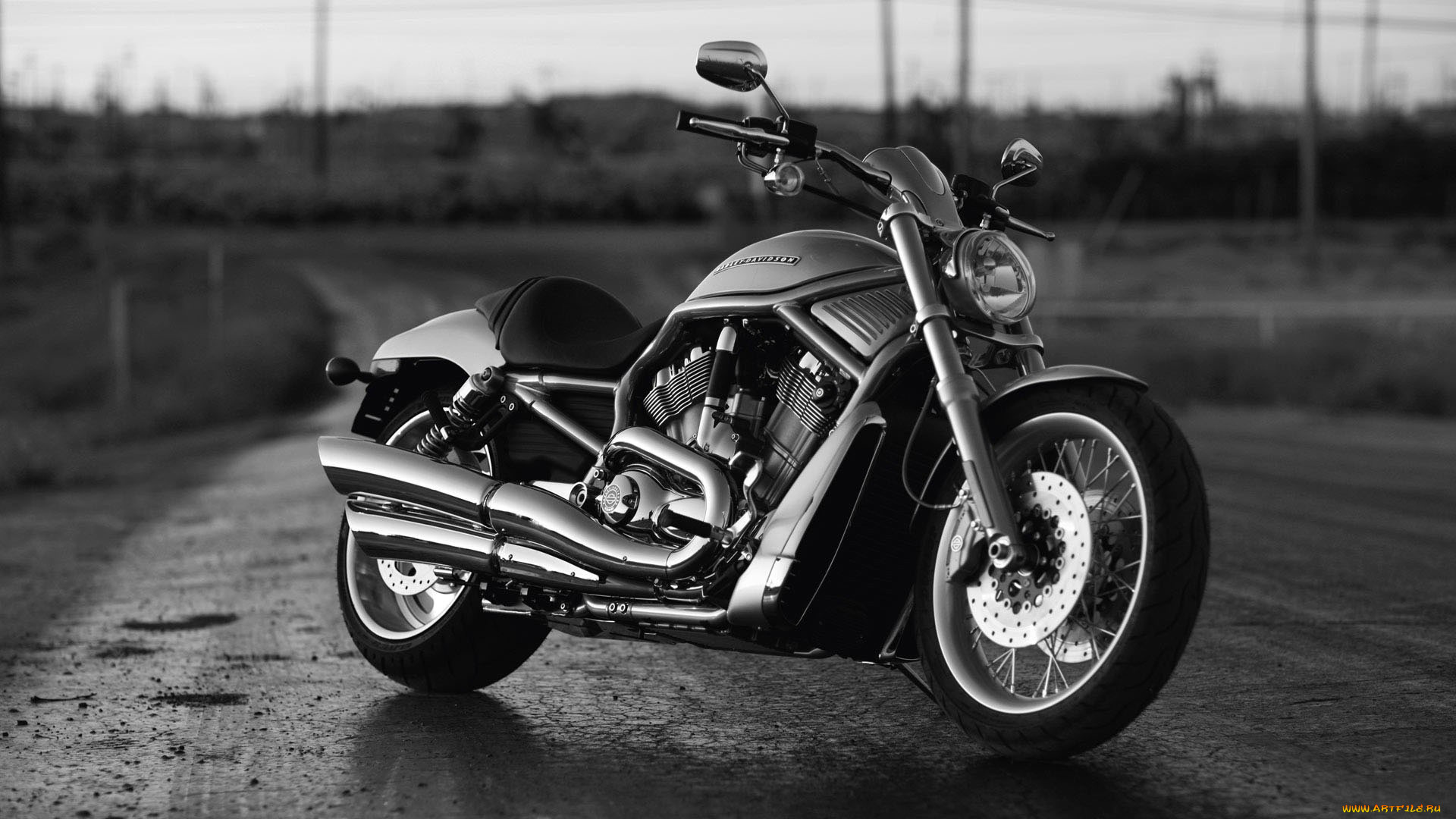 harley, , harley-davidson, davidson, , 
